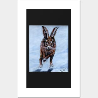 RUNNING HARE Posters and Art